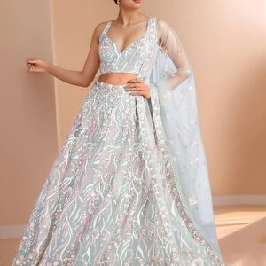 Net Designer Lehenga Choli